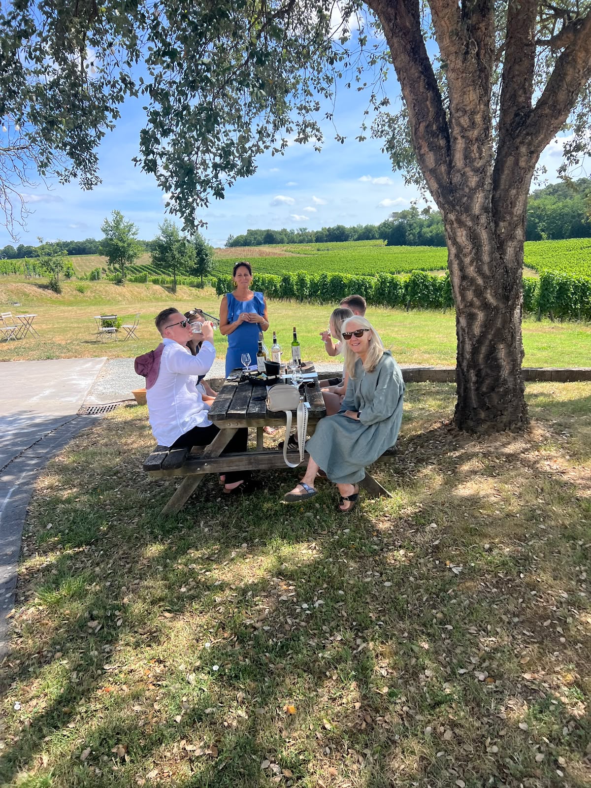 Dégustation conviviale sous le grand chêne, face aux vignes